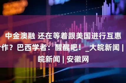中金澳融 还在等着跟美国进行互惠贸易合作？巴西学者：醒醒吧！_大皖新闻 | 安徽网
