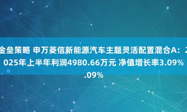 金垒策略 申万菱信新能源汽车主题灵活配置混合A：2025年上半年利润4980.66万元 净值增长率3.09%